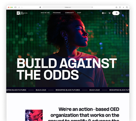 Portfolio image